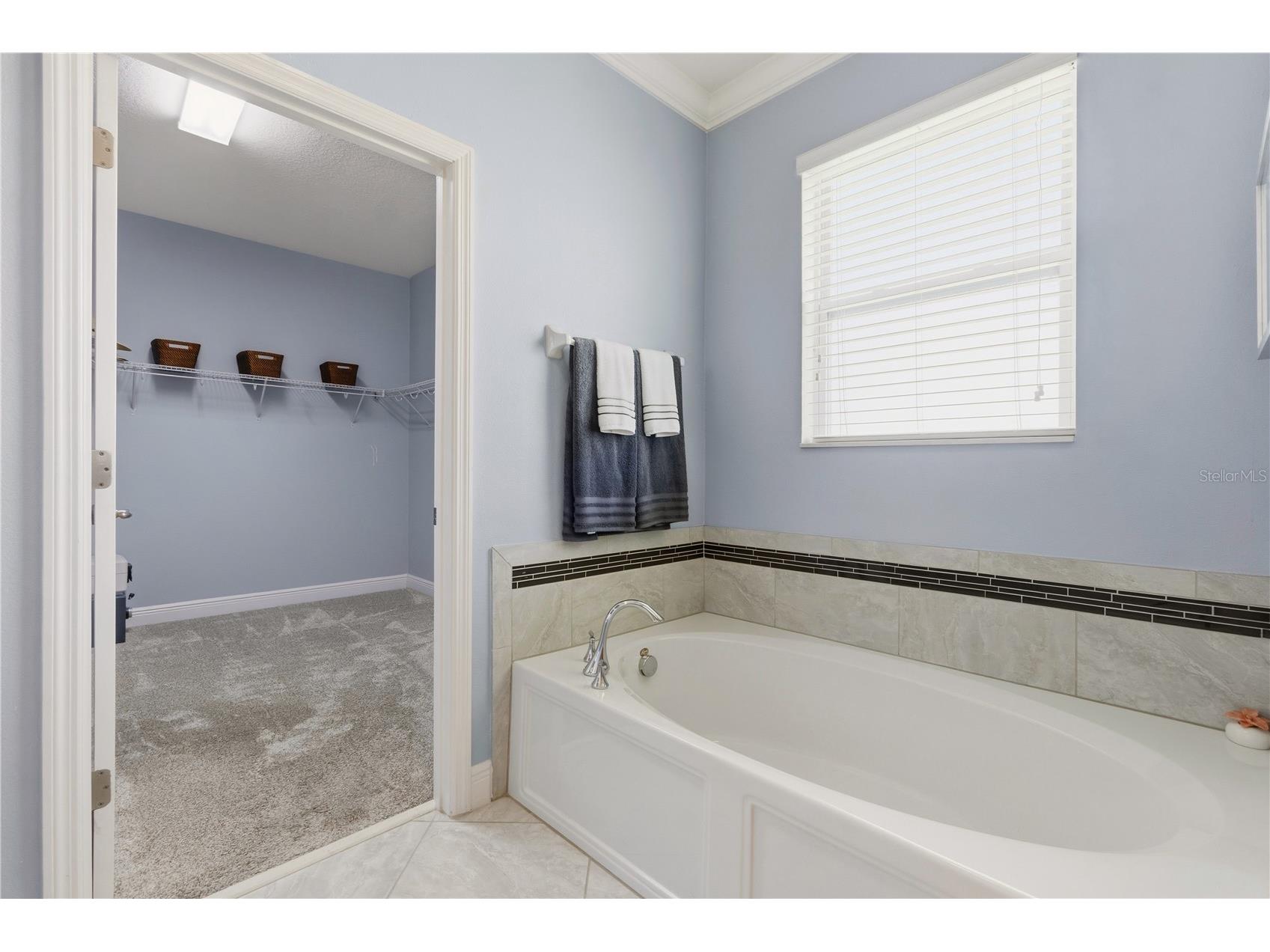14378 Black Lake Preserve Street Winter Garden FL 34787 O6414181 image36