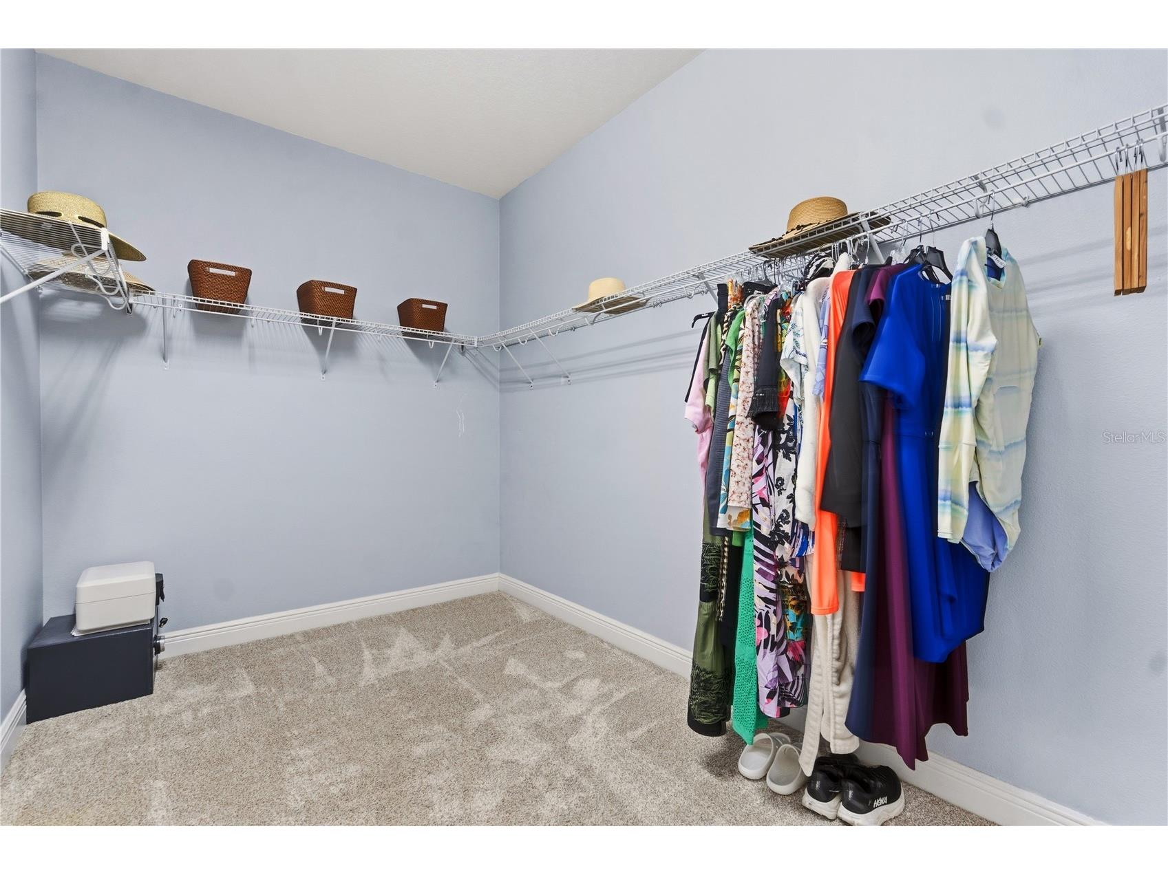 14378 Black Lake Preserve Street Winter Garden FL 34787 O6414181 image38