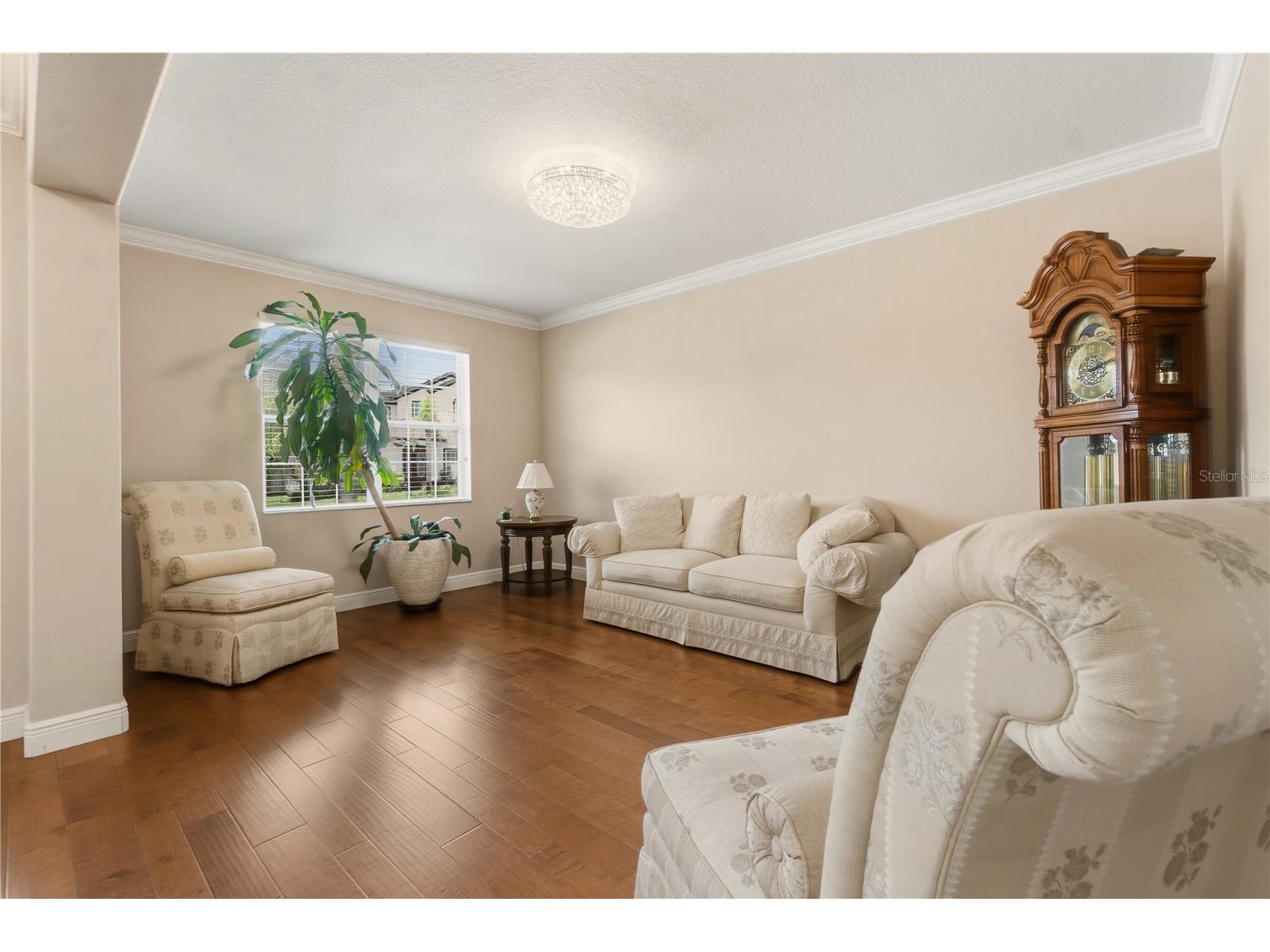 14378 Black Lake Preserve Street Winter Garden FL 34787 O6414181 image5