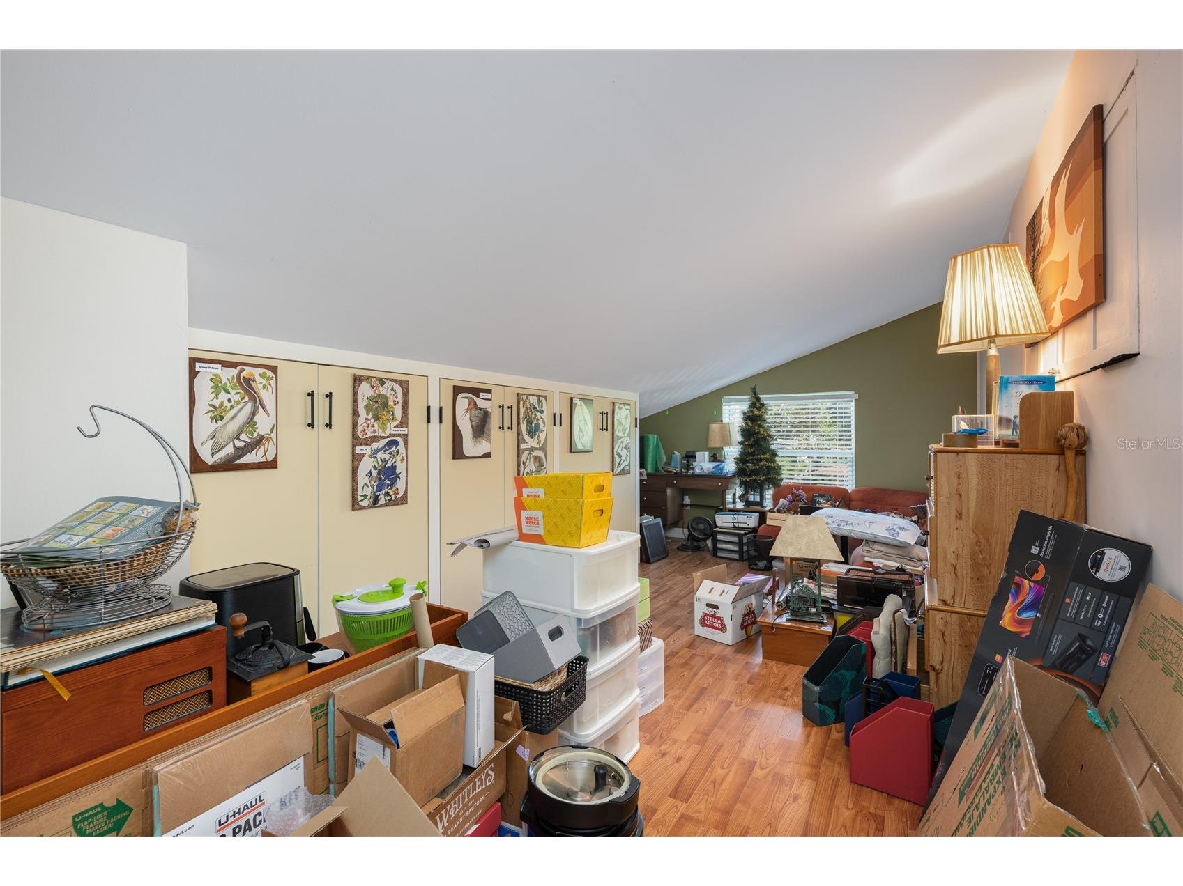 1438 Crestview Dr Mount Dora FL 32757 G5104786 image17