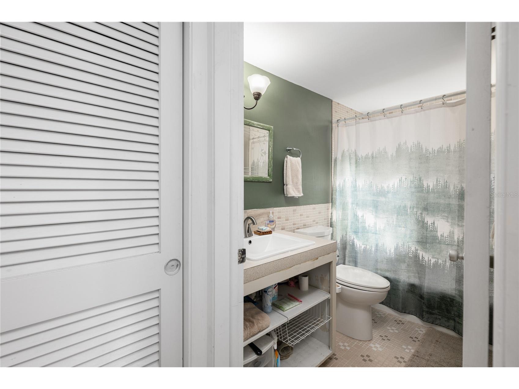 1438 Crestview Dr Mount Dora FL 32757 G5104786 image26