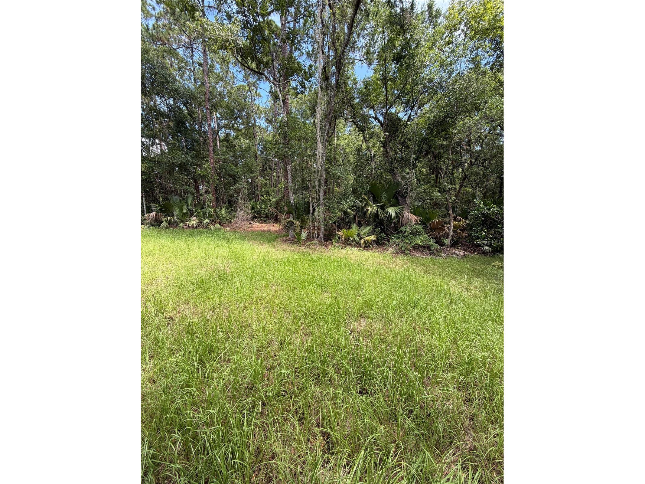 1438 Lake Harney Geneva FL 32732 O6393152 image15