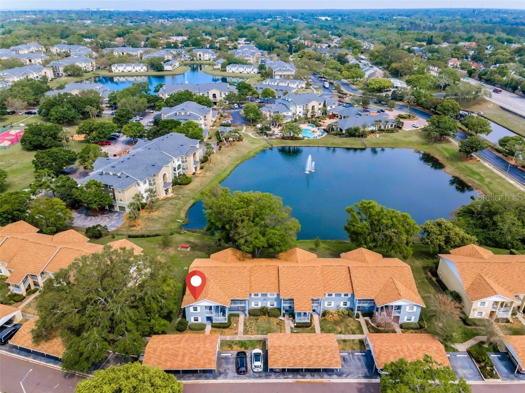 1438 Millstream Lane #201 Dunedin FL 34698 TB8364071 image1