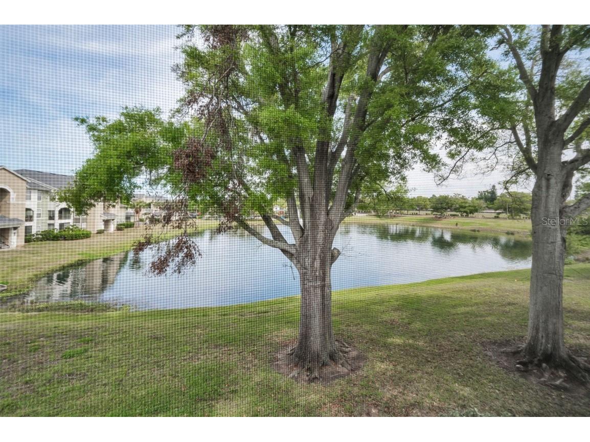 1438 Millstream Lane #201 Dunedin FL 34698 TB8364071 image27