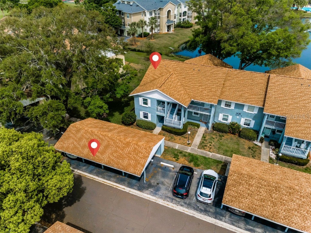 1438 Millstream Lane #201 Dunedin FL 34698 TB8364071 image3