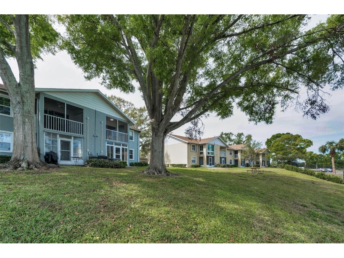 1438 Millstream Lane #201 Dunedin FL 34698 TB8364071 image33