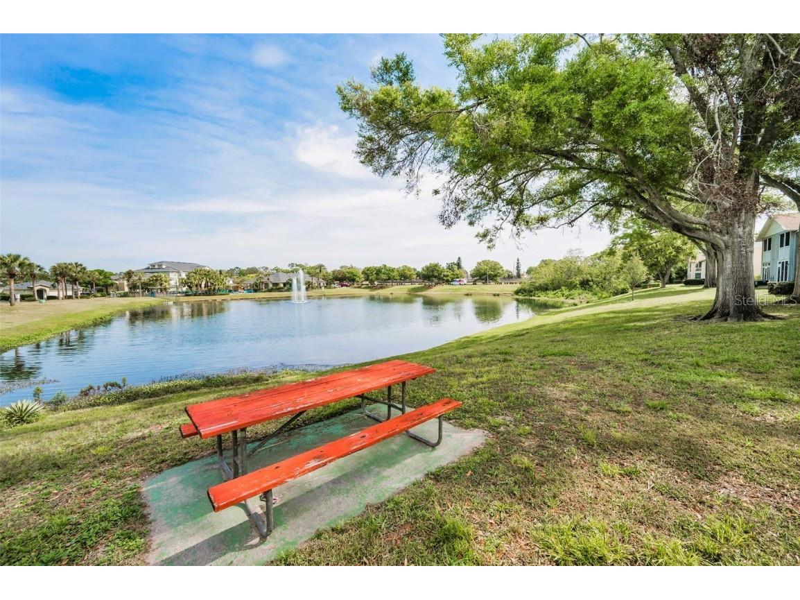 1438 Millstream Lane #201 Dunedin FL 34698 TB8364071 image34