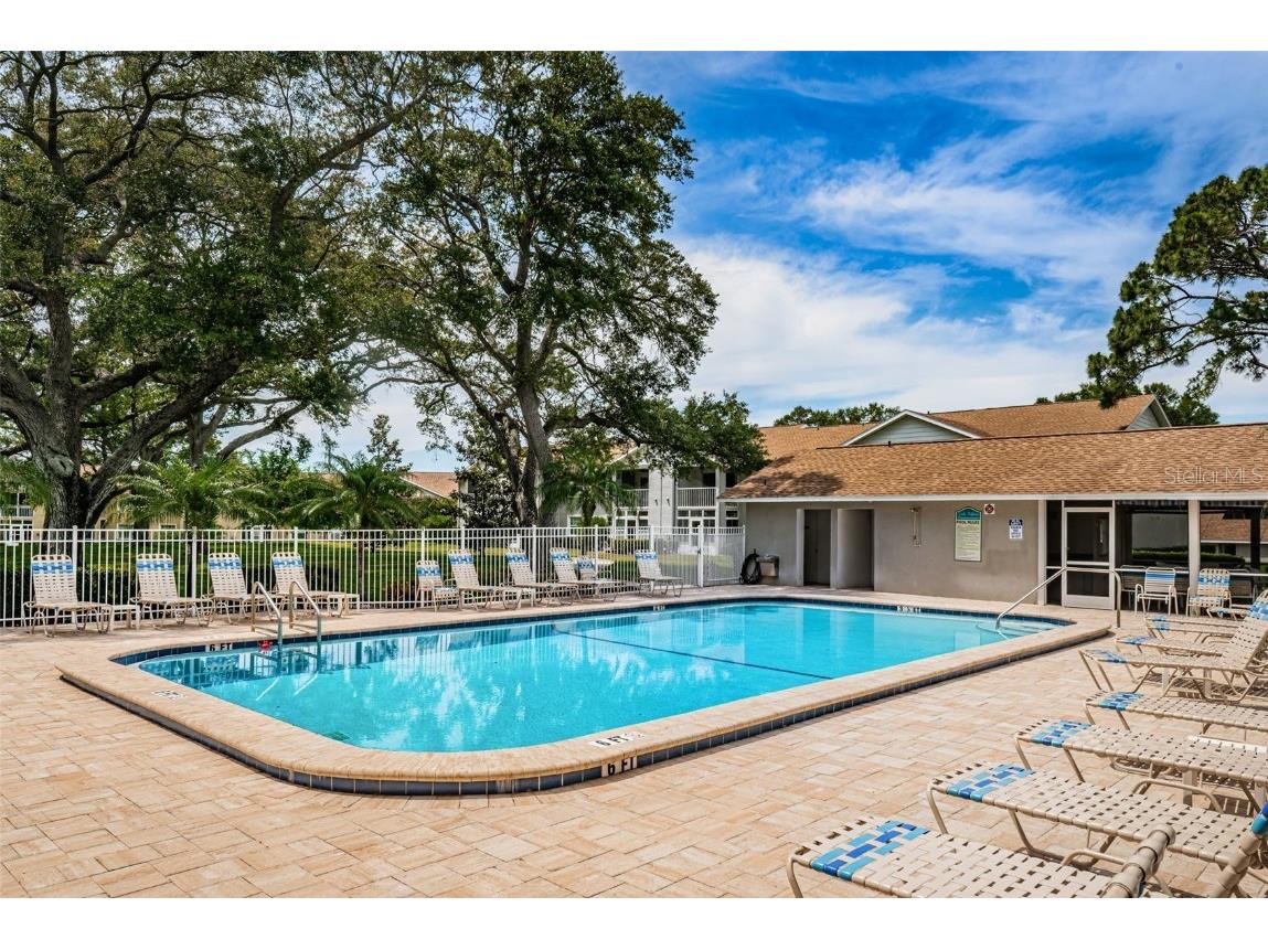 1438 Millstream Lane #201 Dunedin FL 34698 TB8364071 image37