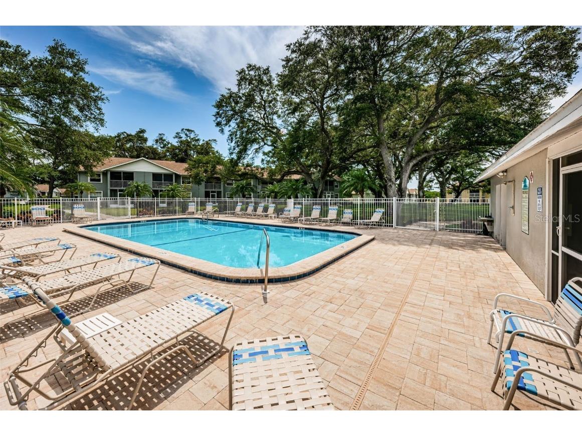 1438 Millstream Lane #201 Dunedin FL 34698 TB8364071 image40