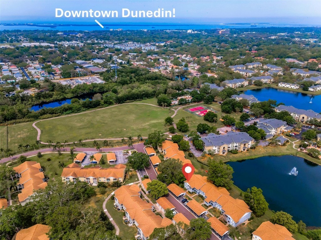 1438 Millstream Lane #201 Dunedin FL 34698 TB8364071 image44