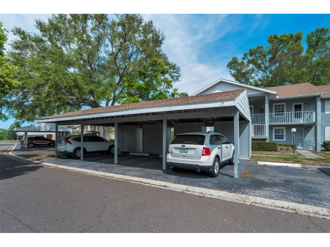 1438 Millstream Lane #201 Dunedin FL 34698 TB8364071 image5