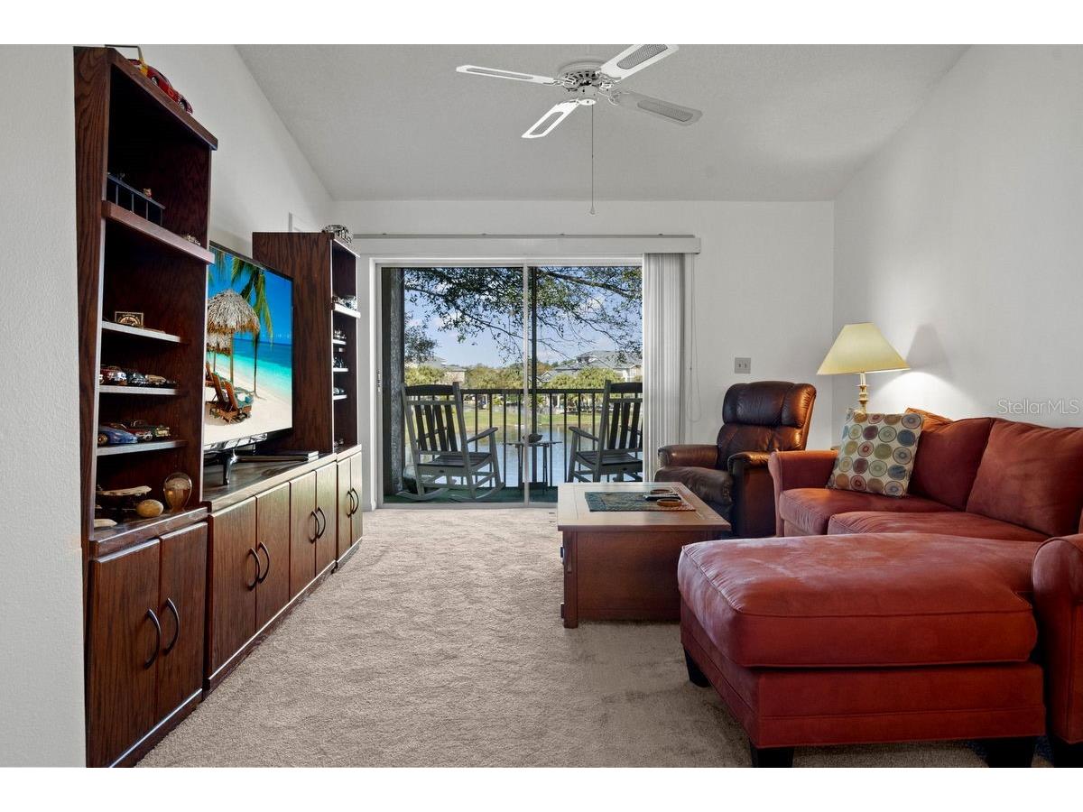 1438 Millstream Lane #203 Dunedin FL 34698 - LAKE TIFFANY TB8464497 image10