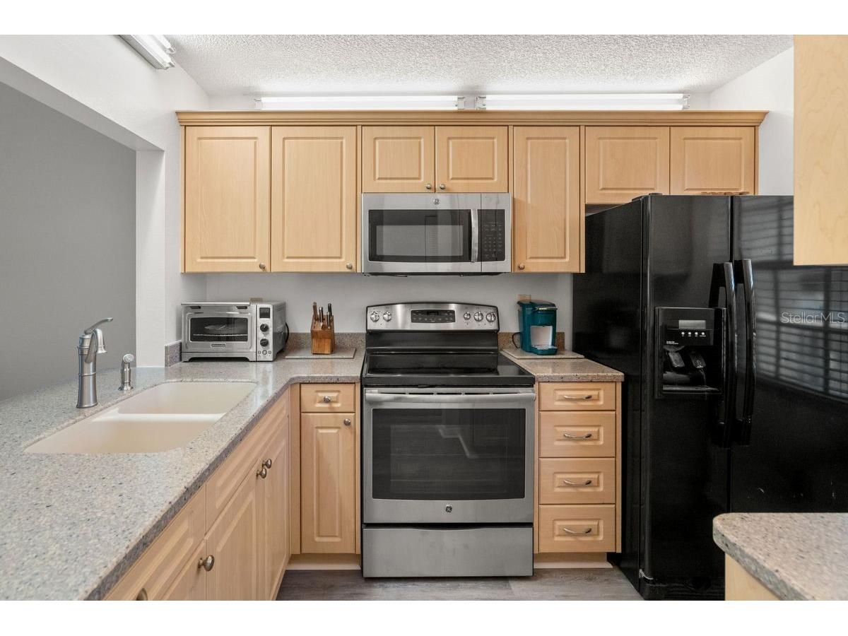 1438 Millstream Lane #203 Dunedin FL 34698 - LAKE TIFFANY TB8464497 image11