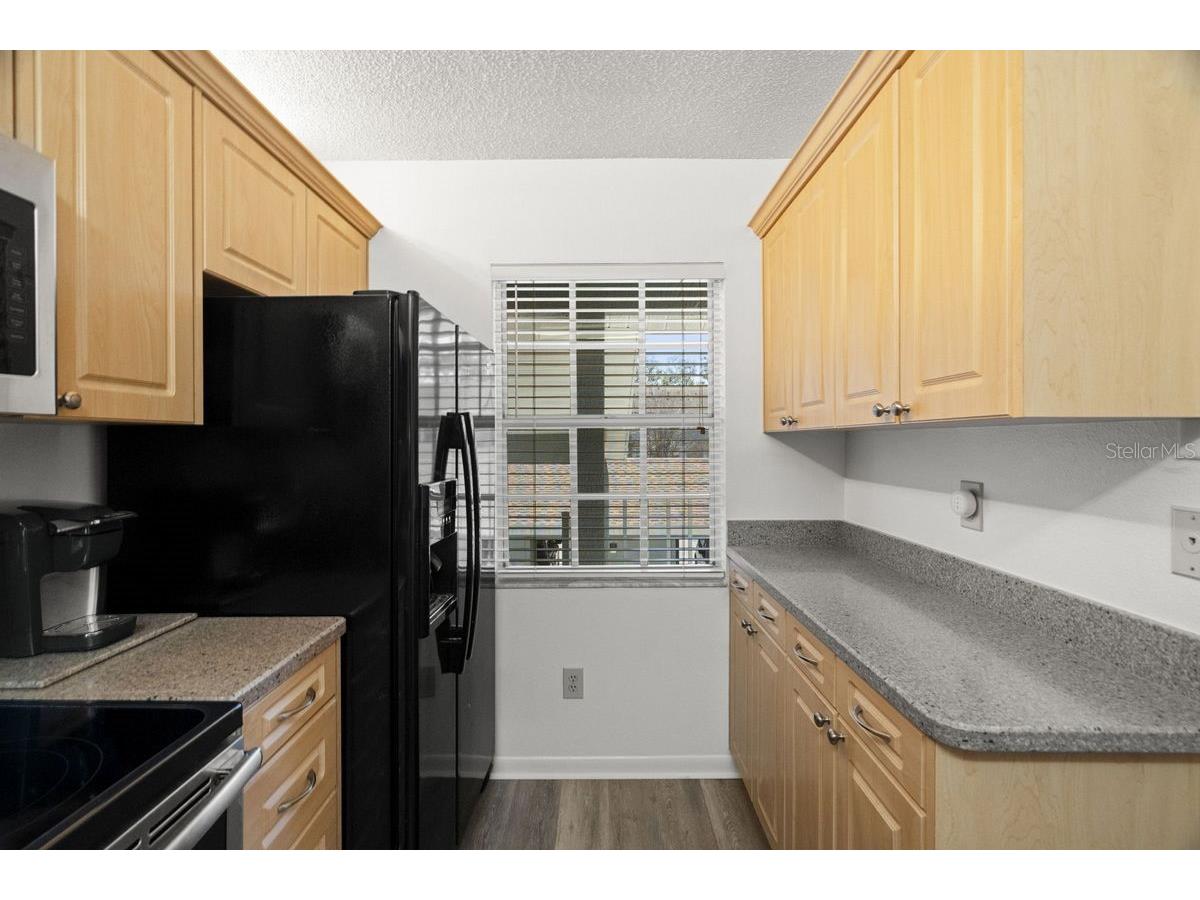 1438 Millstream Lane #203 Dunedin FL 34698 - LAKE TIFFANY TB8464497 image12