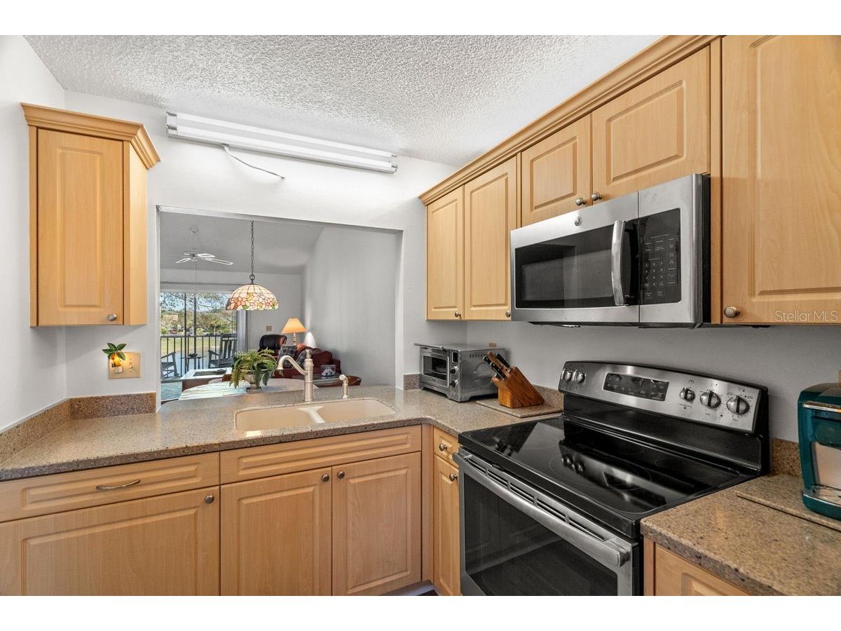 1438 Millstream Lane #203 Dunedin FL 34698 - LAKE TIFFANY TB8464497 image13