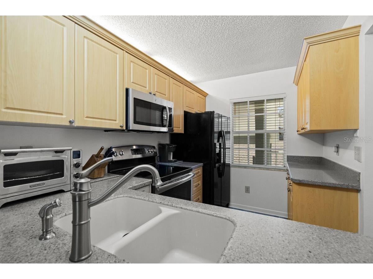 1438 Millstream Lane #203 Dunedin FL 34698 - LAKE TIFFANY TB8464497 image14