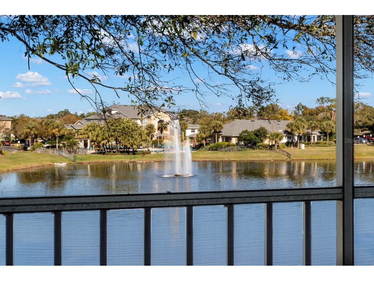 1438 Millstream Lane #203 Dunedin FL 34698 - LAKE TIFFANY TB8464497 image16