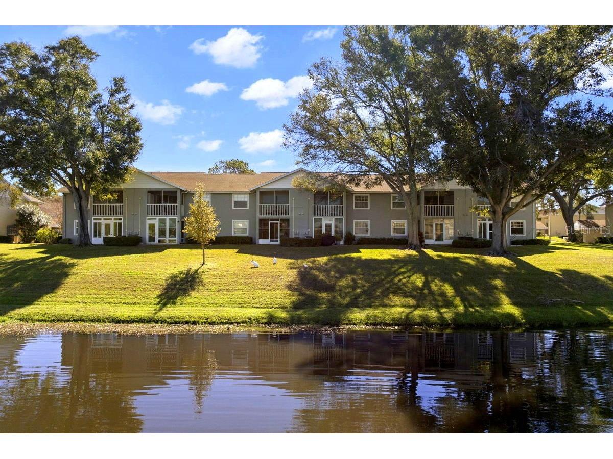 1438 Millstream Lane #203 Dunedin FL 34698 - LAKE TIFFANY TB8464497 image18
