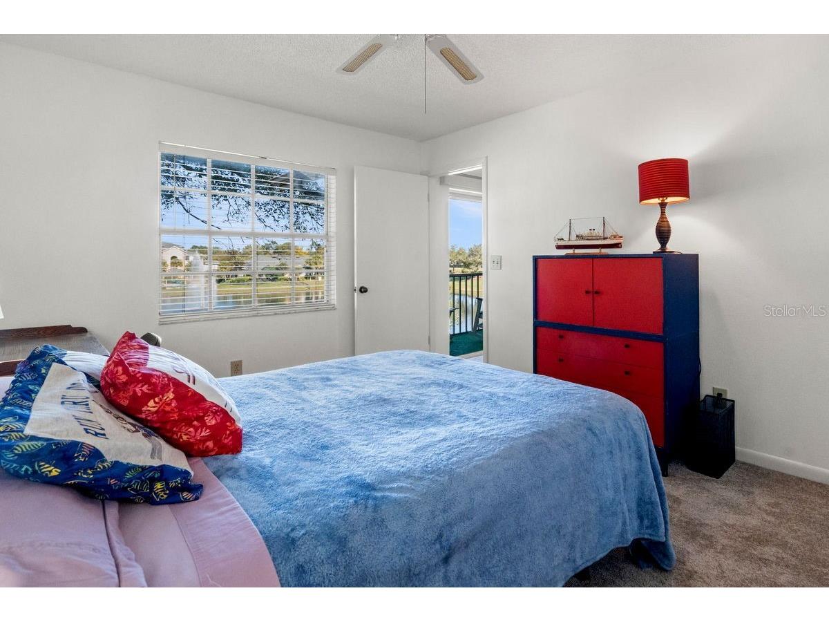1438 Millstream Lane #203 Dunedin FL 34698 - LAKE TIFFANY TB8464497 image20