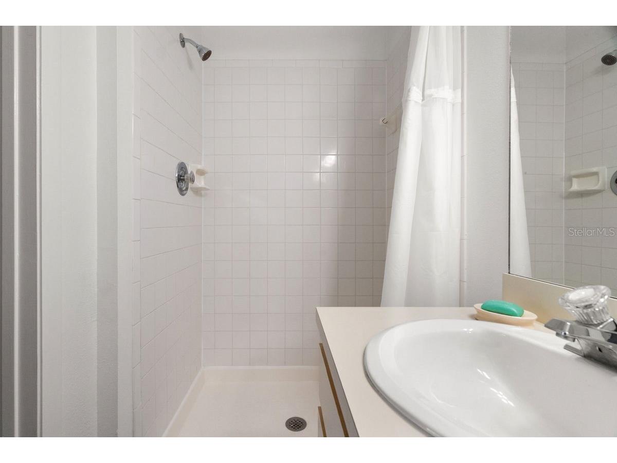 1438 Millstream Lane #203 Dunedin FL 34698 - LAKE TIFFANY TB8464497 image21