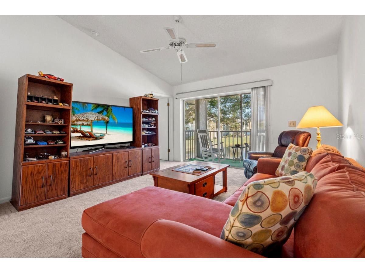 1438 Millstream Lane #203 Dunedin FL 34698 - LAKE TIFFANY TB8464497 image27