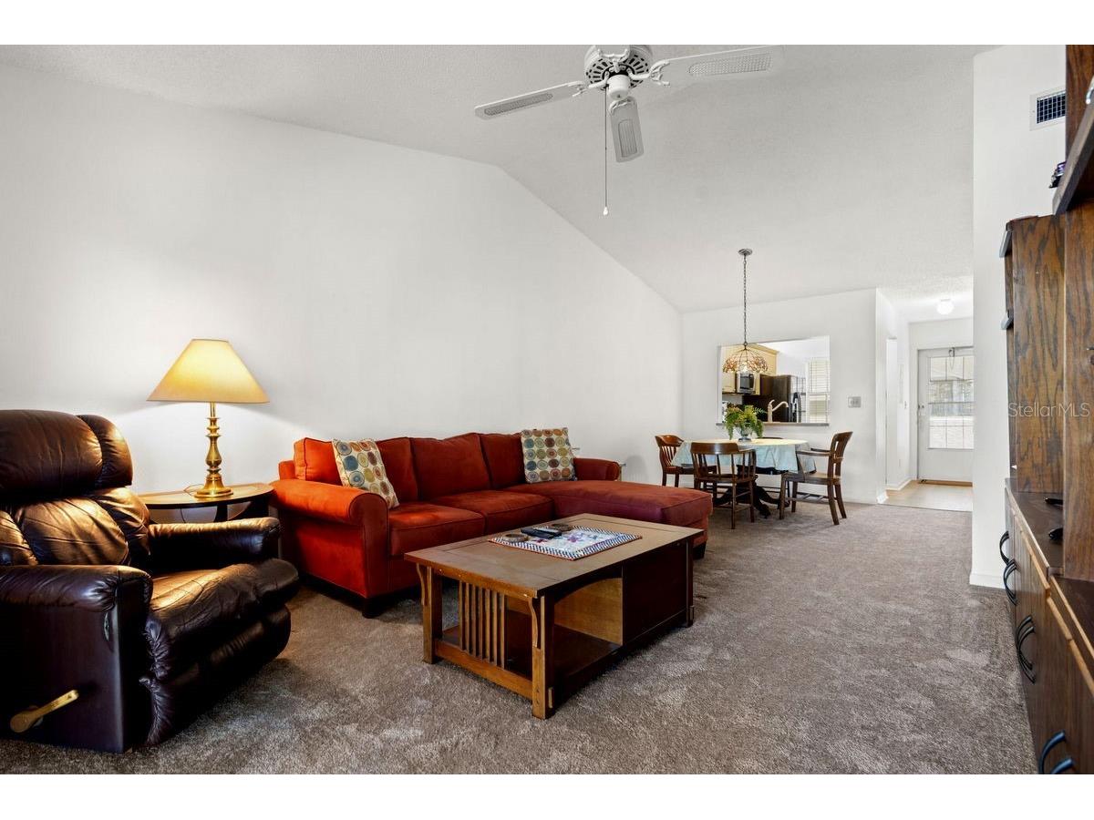 1438 Millstream Lane #203 Dunedin FL 34698 - LAKE TIFFANY TB8464497 image28
