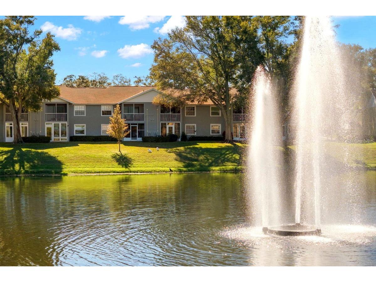 1438 Millstream Lane #203 Dunedin FL 34698 - LAKE TIFFANY TB8464497 image3