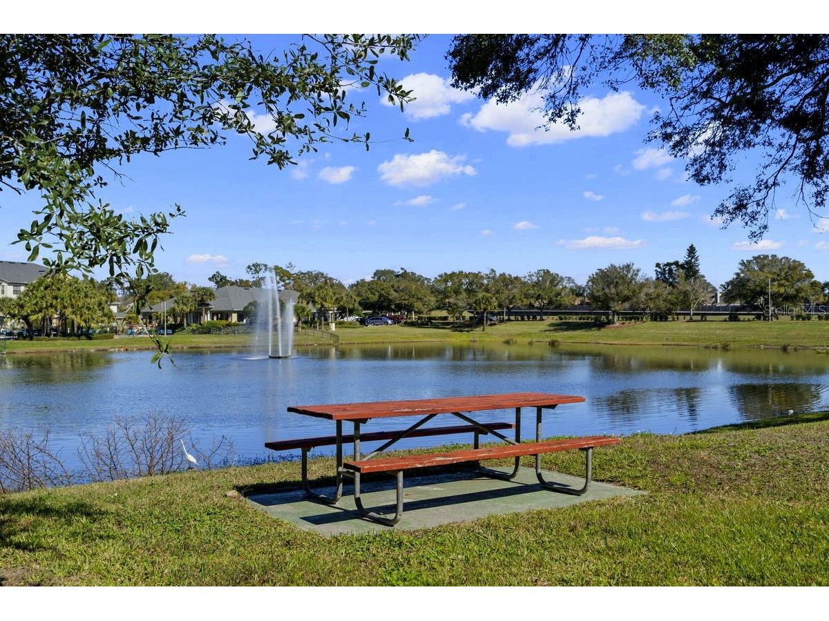 1438 Millstream Lane #203 Dunedin FL 34698 - LAKE TIFFANY TB8464497 image33
