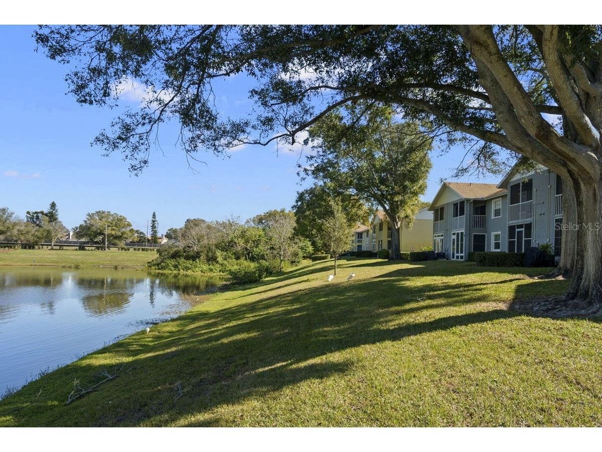 1438 Millstream Lane #203 Dunedin FL 34698 - LAKE TIFFANY TB8464497 image34