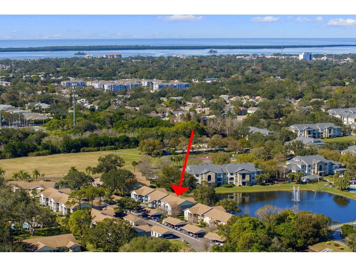 1438 Millstream Lane #203 Dunedin FL 34698 - LAKE TIFFANY TB8464497 image36