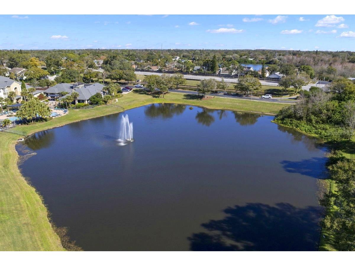 1438 Millstream Lane #203 Dunedin FL 34698 - LAKE TIFFANY TB8464497 image37