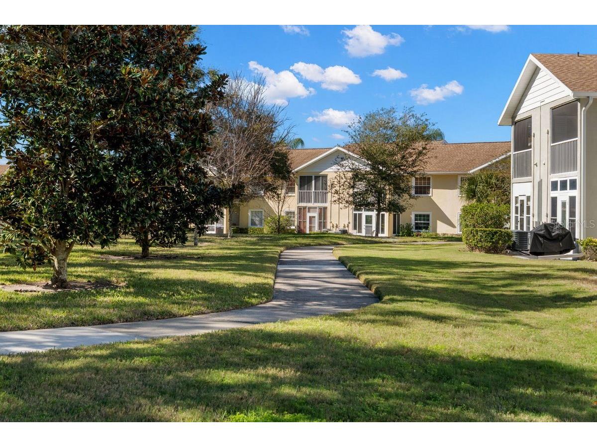 1438 Millstream Lane #203 Dunedin FL 34698 - LAKE TIFFANY TB8464497 image38