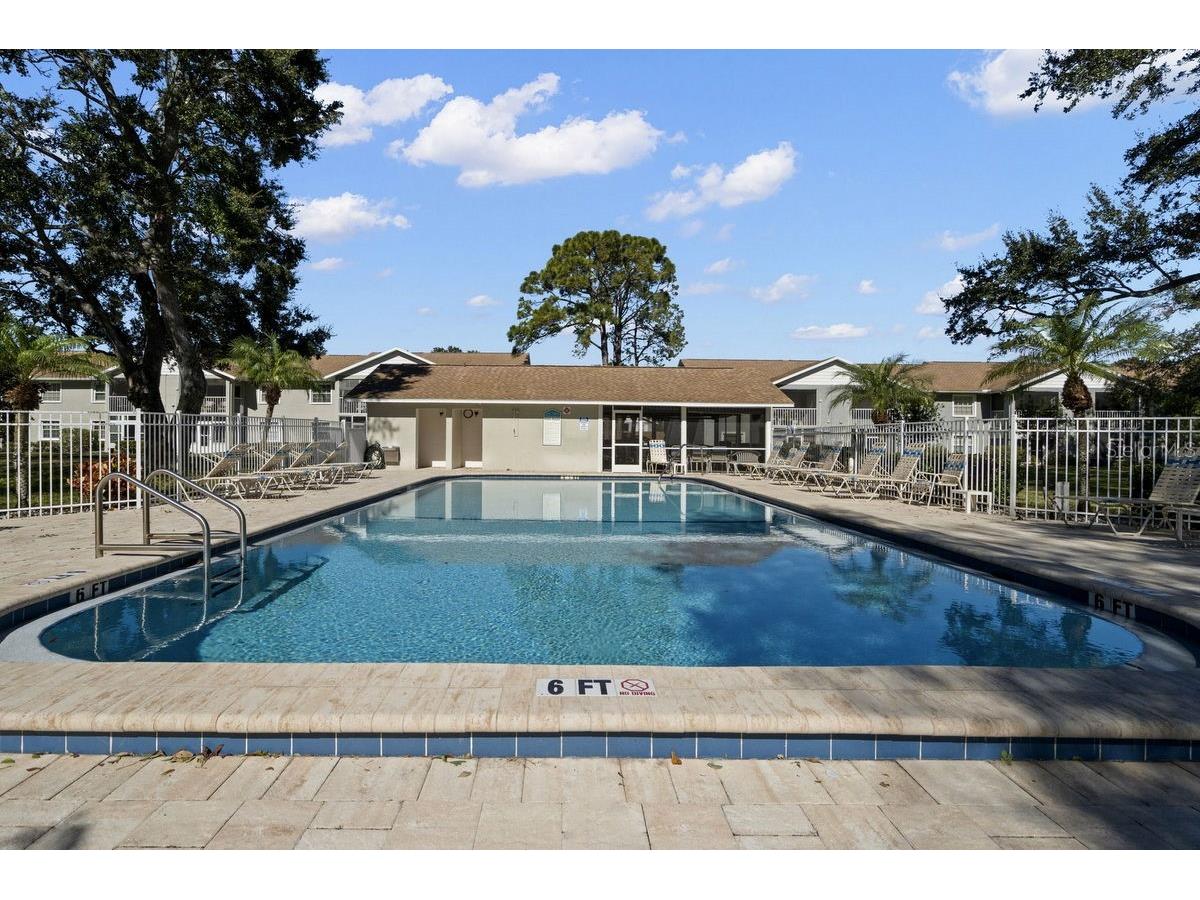 1438 Millstream Lane #203 Dunedin FL 34698 - LAKE TIFFANY TB8464497 image39