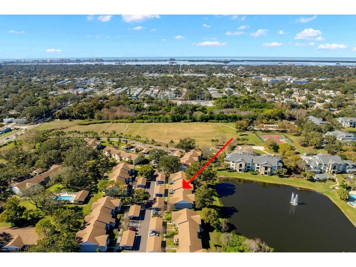 1438 Millstream Lane #203 Dunedin FL 34698 - LAKE TIFFANY TB8464497 image4