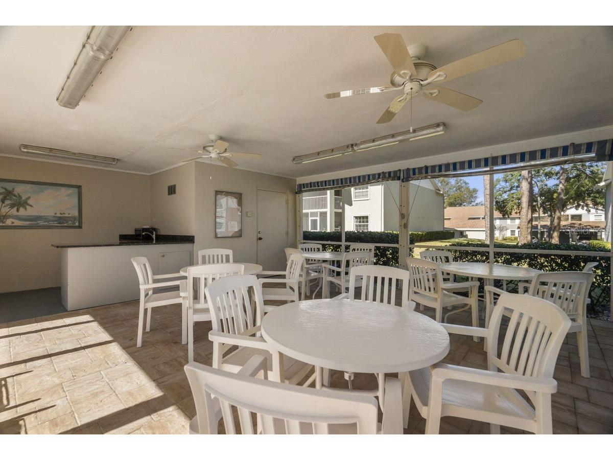 1438 Millstream Lane #203 Dunedin FL 34698 - LAKE TIFFANY TB8464497 image41