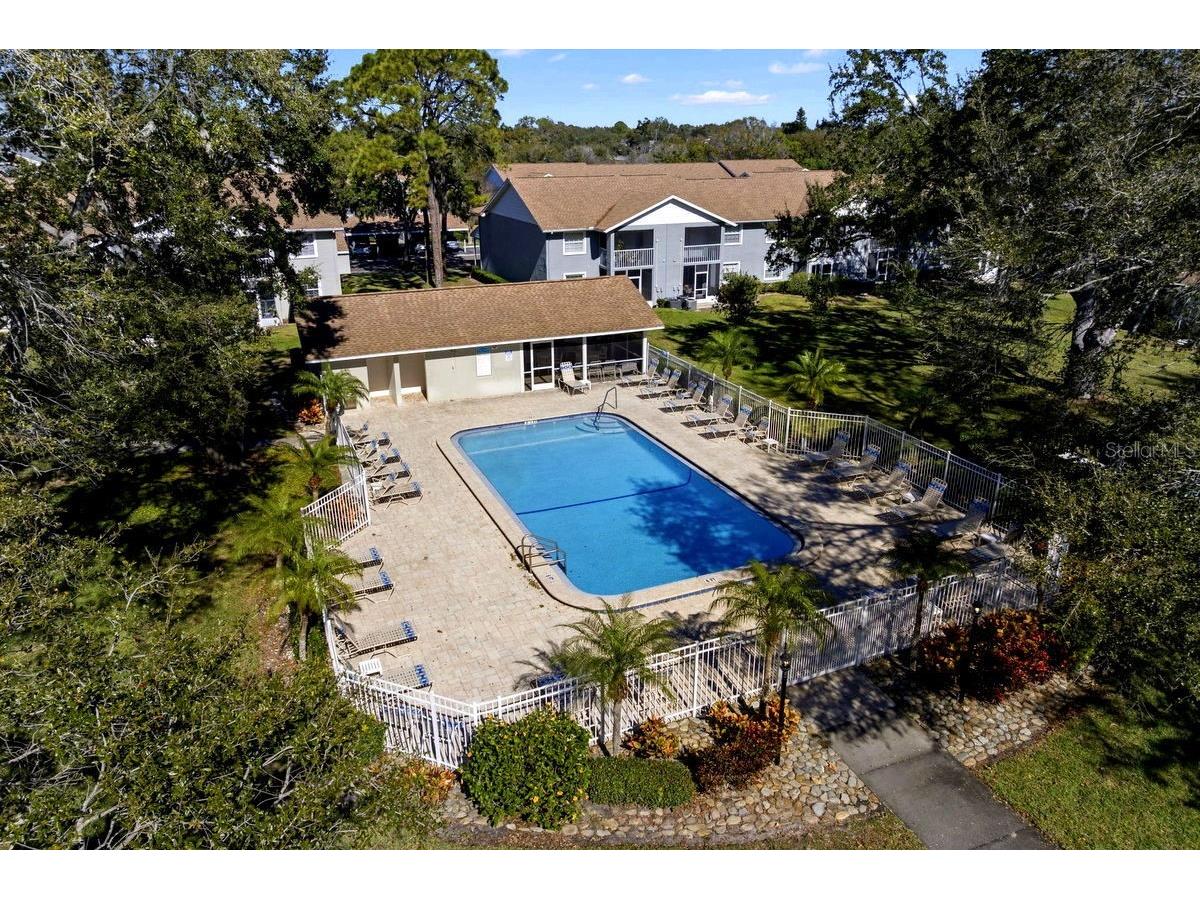 1438 Millstream Lane #203 Dunedin FL 34698 - LAKE TIFFANY TB8464497 image43