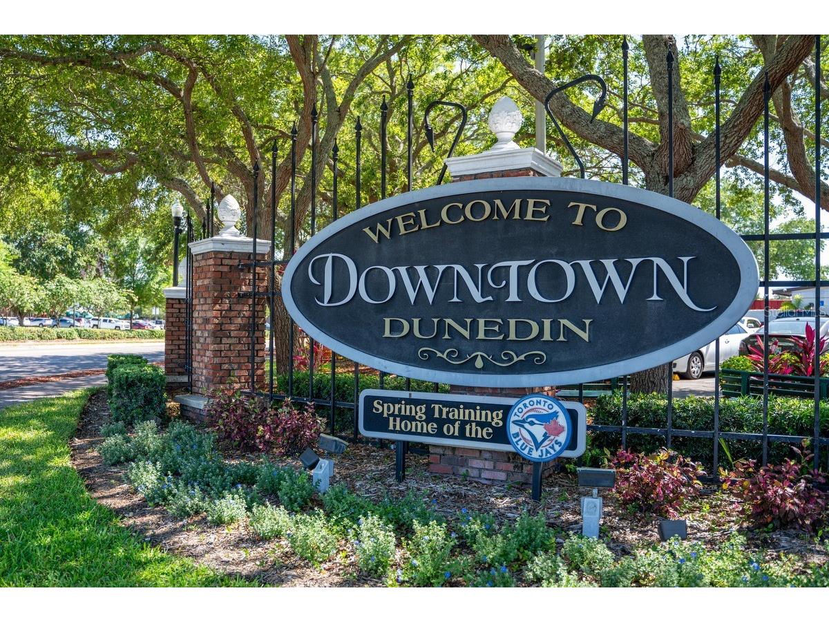 1438 Millstream Lane #203 Dunedin FL 34698 - LAKE TIFFANY TB8464497 image45