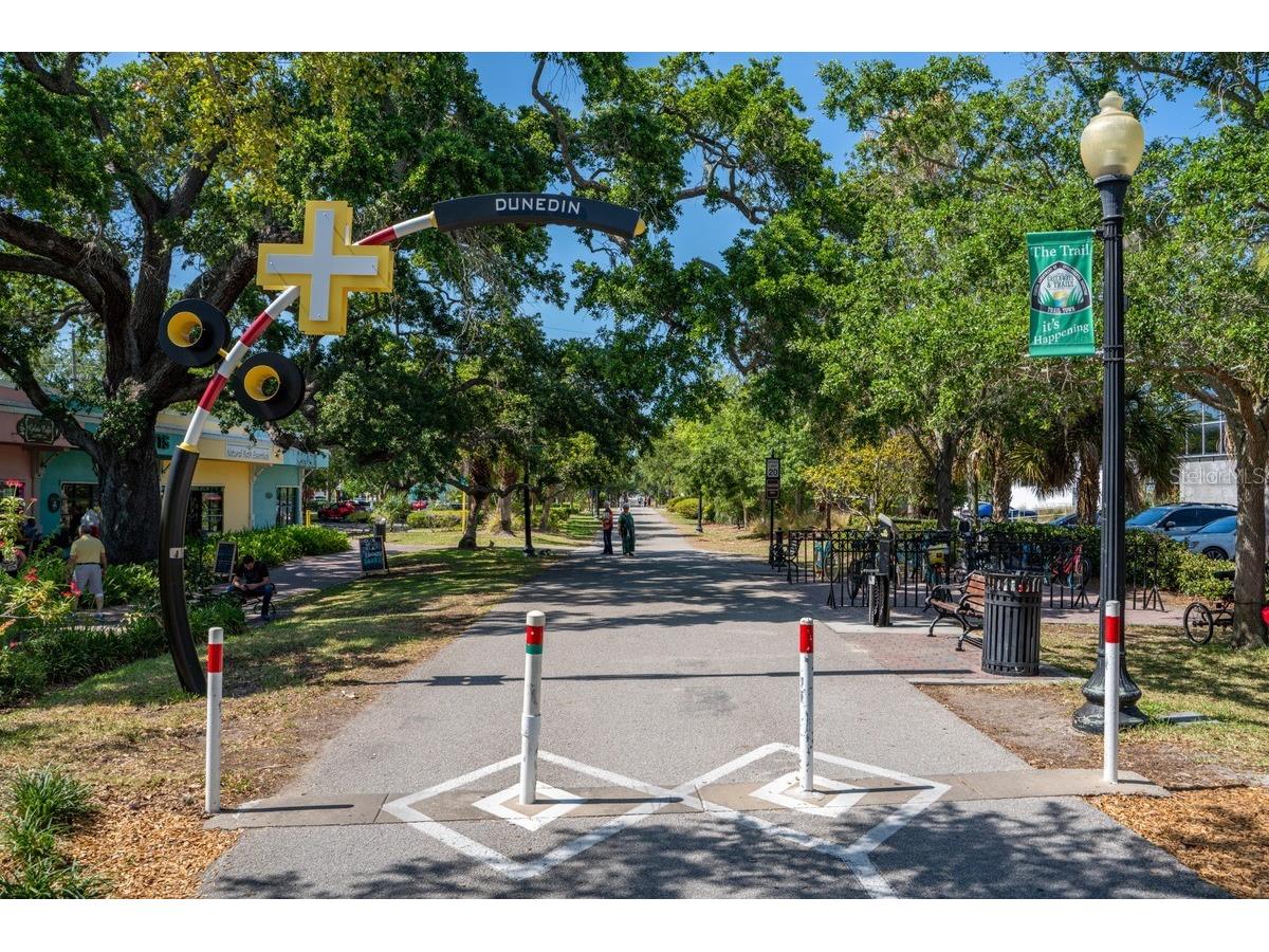 1438 Millstream Lane #203 Dunedin FL 34698 - LAKE TIFFANY TB8464497 image48