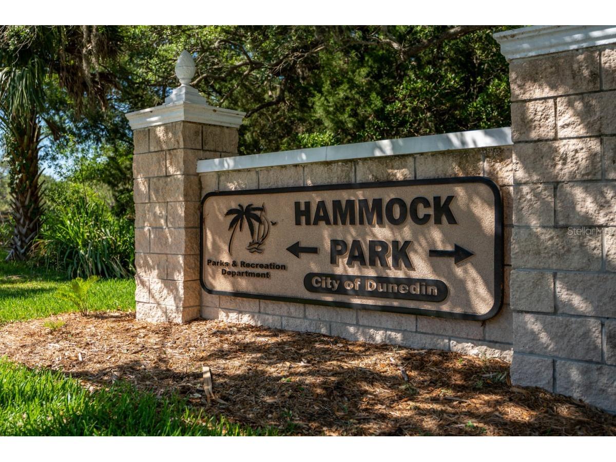 1438 Millstream Lane #203 Dunedin FL 34698 - LAKE TIFFANY TB8464497 image51