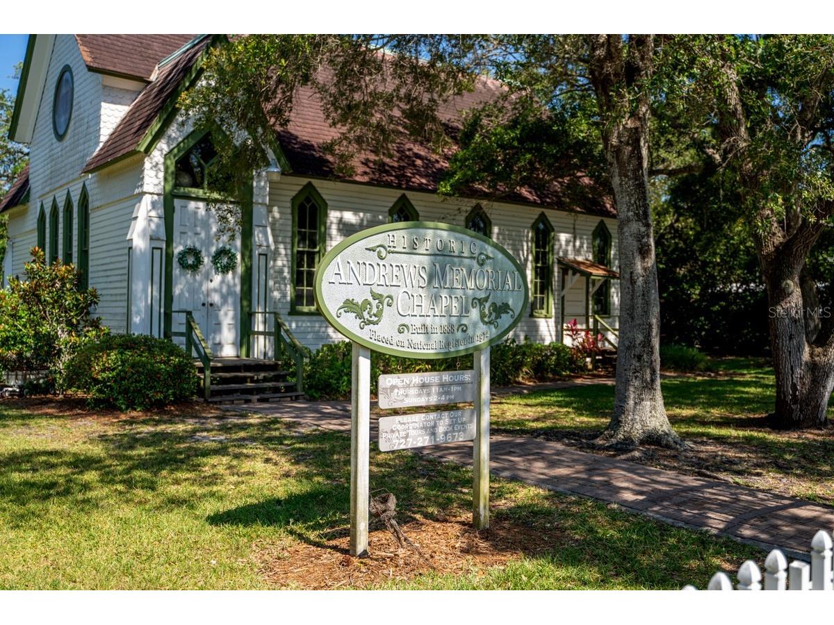 1438 Millstream Lane #203 Dunedin FL 34698 - LAKE TIFFANY TB8464497 image52