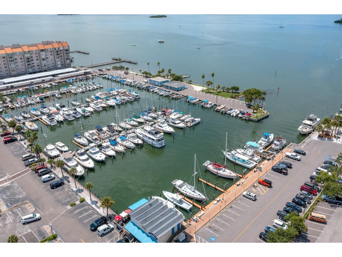 1438 Millstream Lane #203 Dunedin FL 34698 - LAKE TIFFANY TB8464497 image57