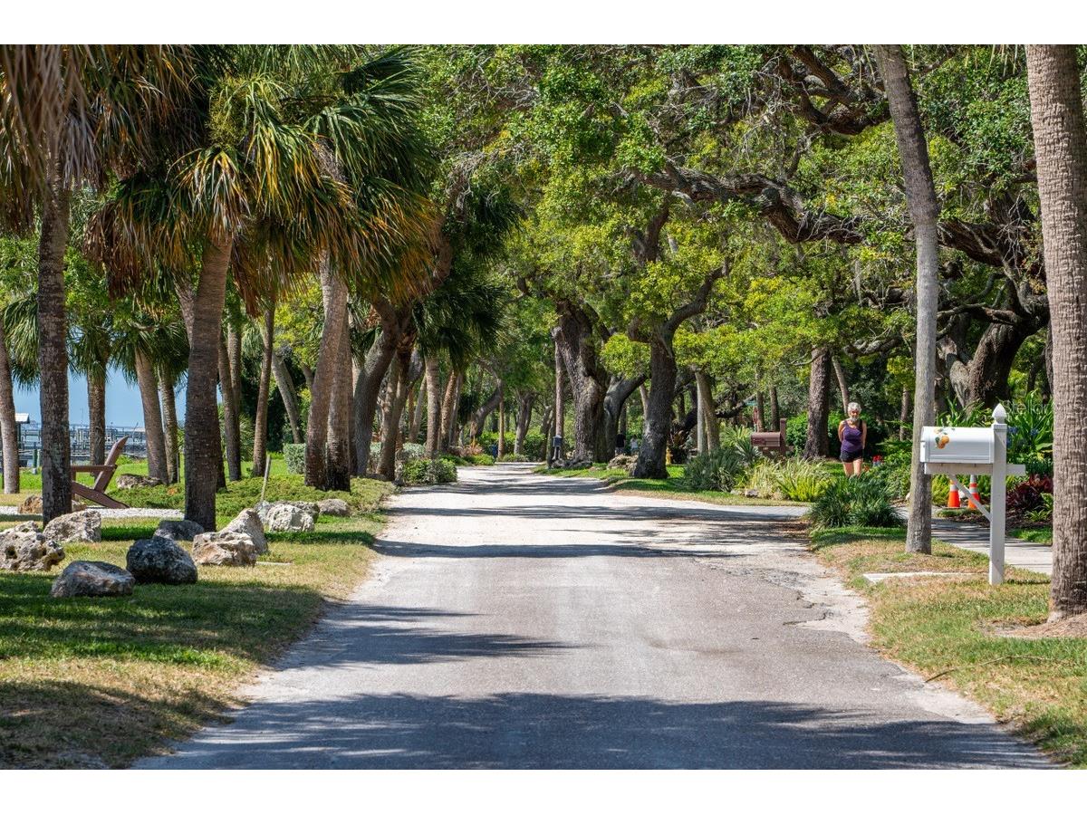 1438 Millstream Lane #203 Dunedin FL 34698 - LAKE TIFFANY TB8464497 image58