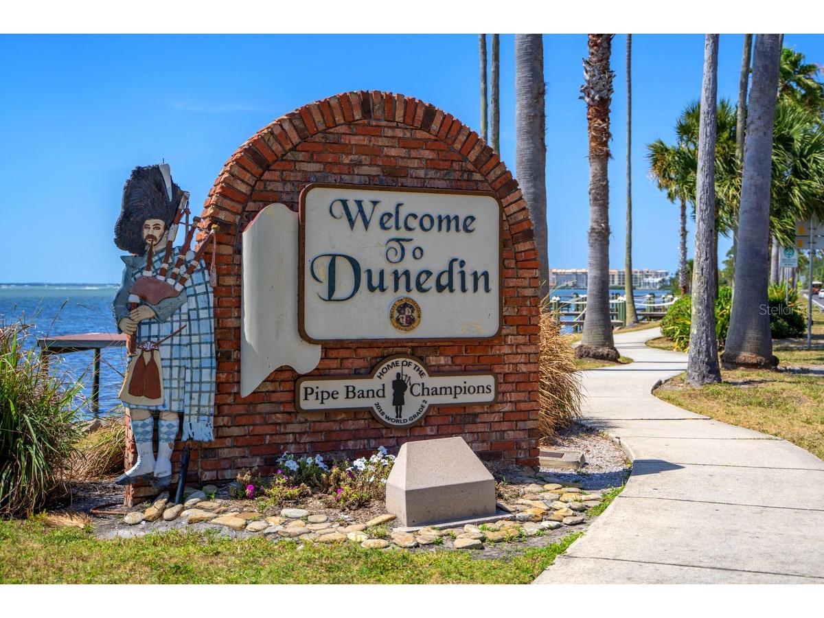 1438 Millstream Lane #203 Dunedin FL 34698 - LAKE TIFFANY TB8464497 image60