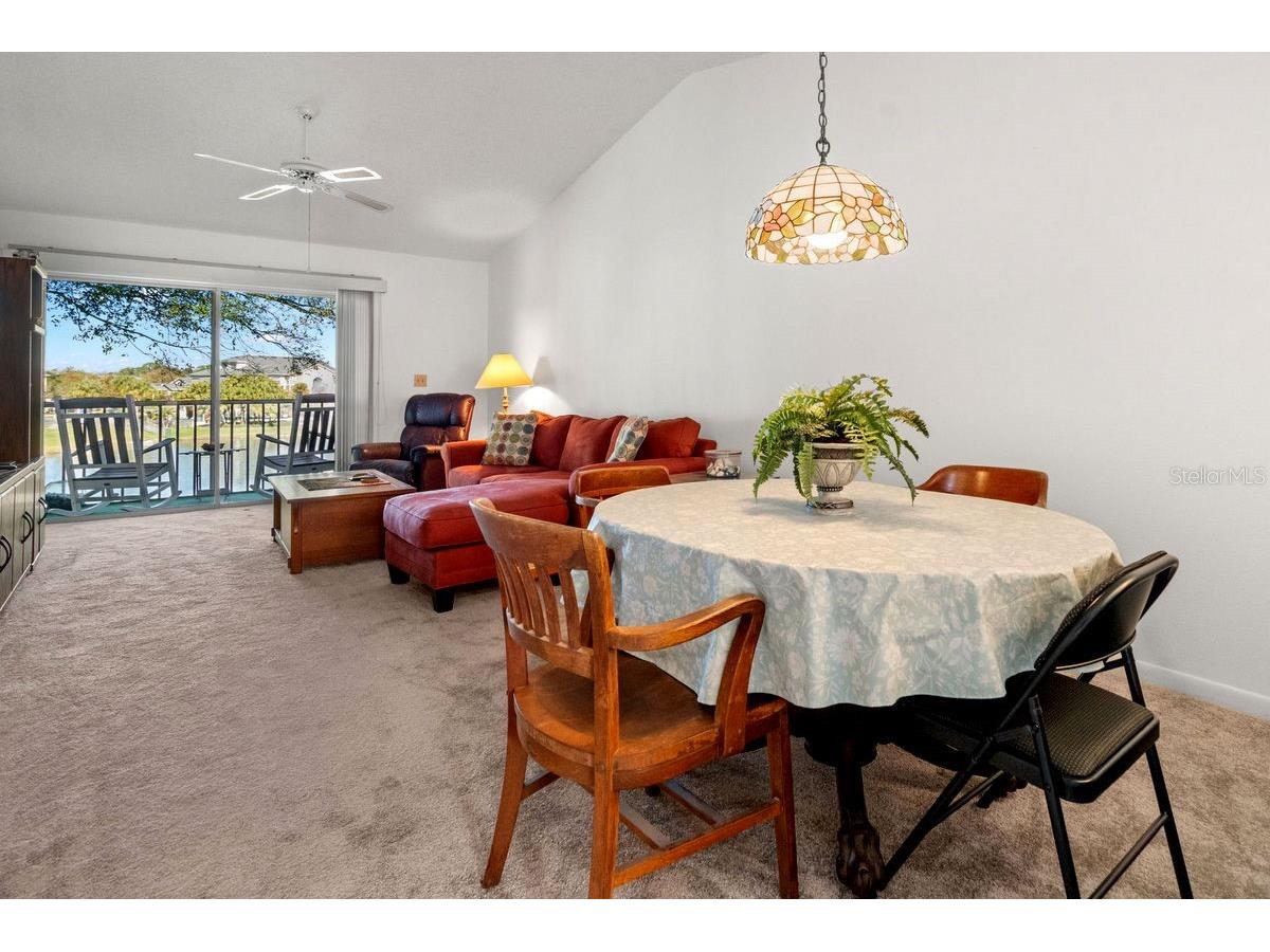 1438 Millstream Lane #203 Dunedin FL 34698 - LAKE TIFFANY TB8464497 image7