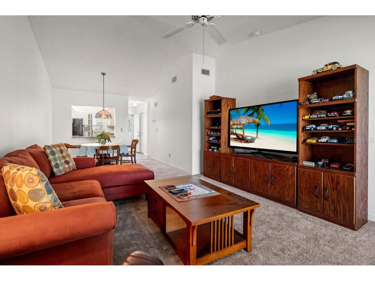1438 Millstream Lane #203 Dunedin FL 34698 - LAKE TIFFANY TB8464497 image8
