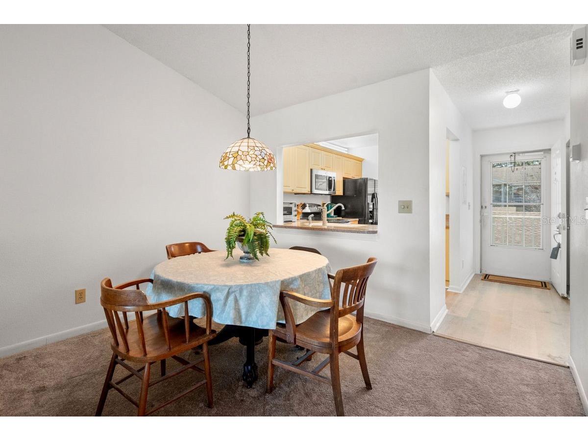 1438 Millstream Lane #203 Dunedin FL 34698 - LAKE TIFFANY TB8464497 image9
