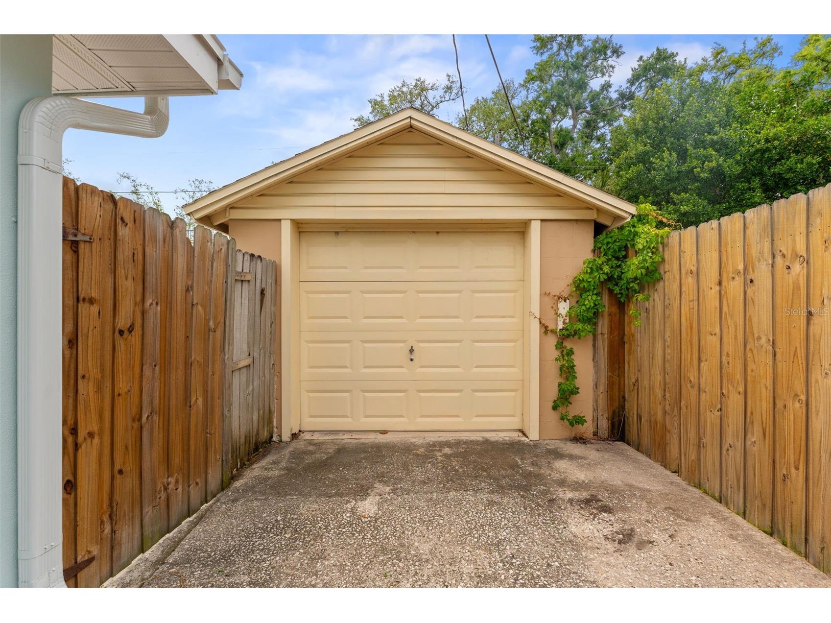 1438 Santa Anna Drive Dunedin FL 34698 TB8495579 image15