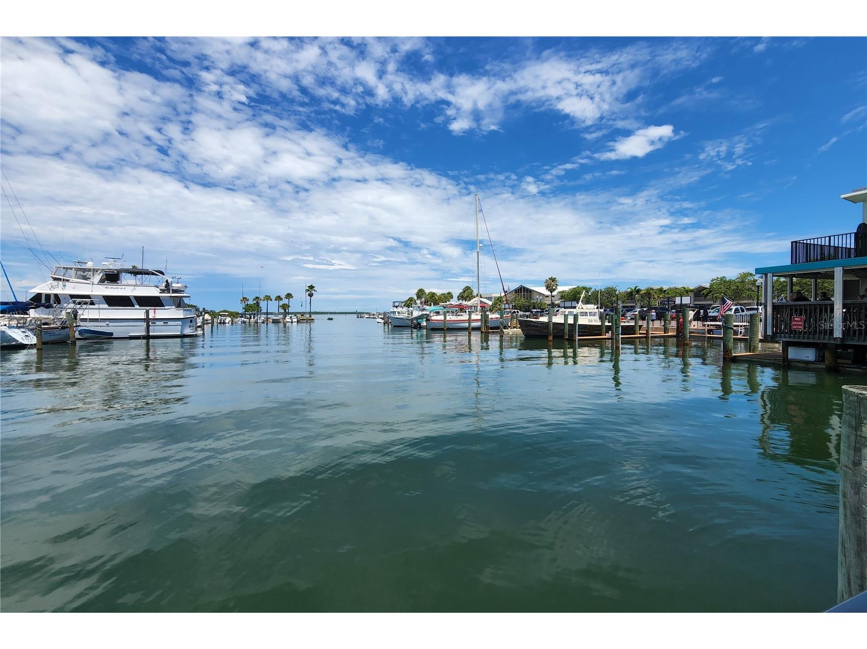 1438 Santa Anna Drive Dunedin FL 34698 TB8495579 image19