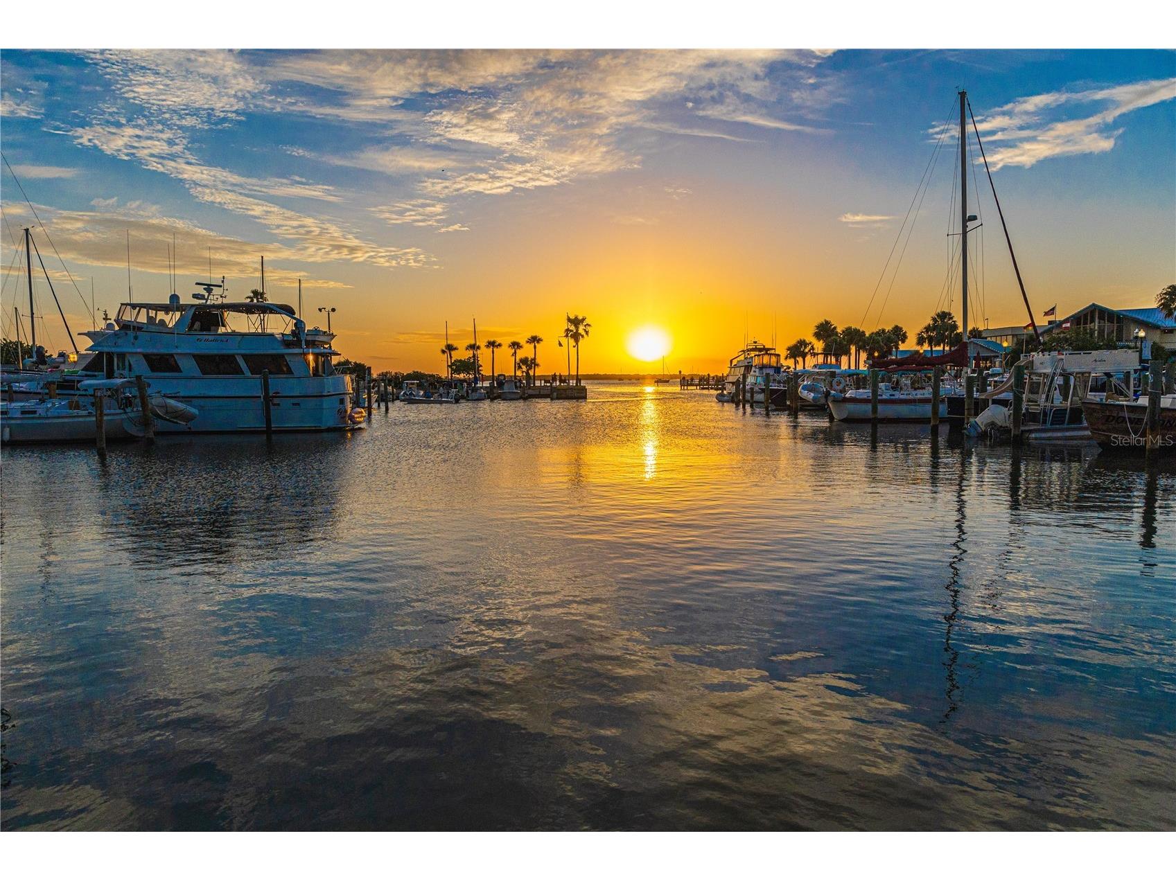 1438 Santa Anna Drive Dunedin FL 34698 TB8495579 image20