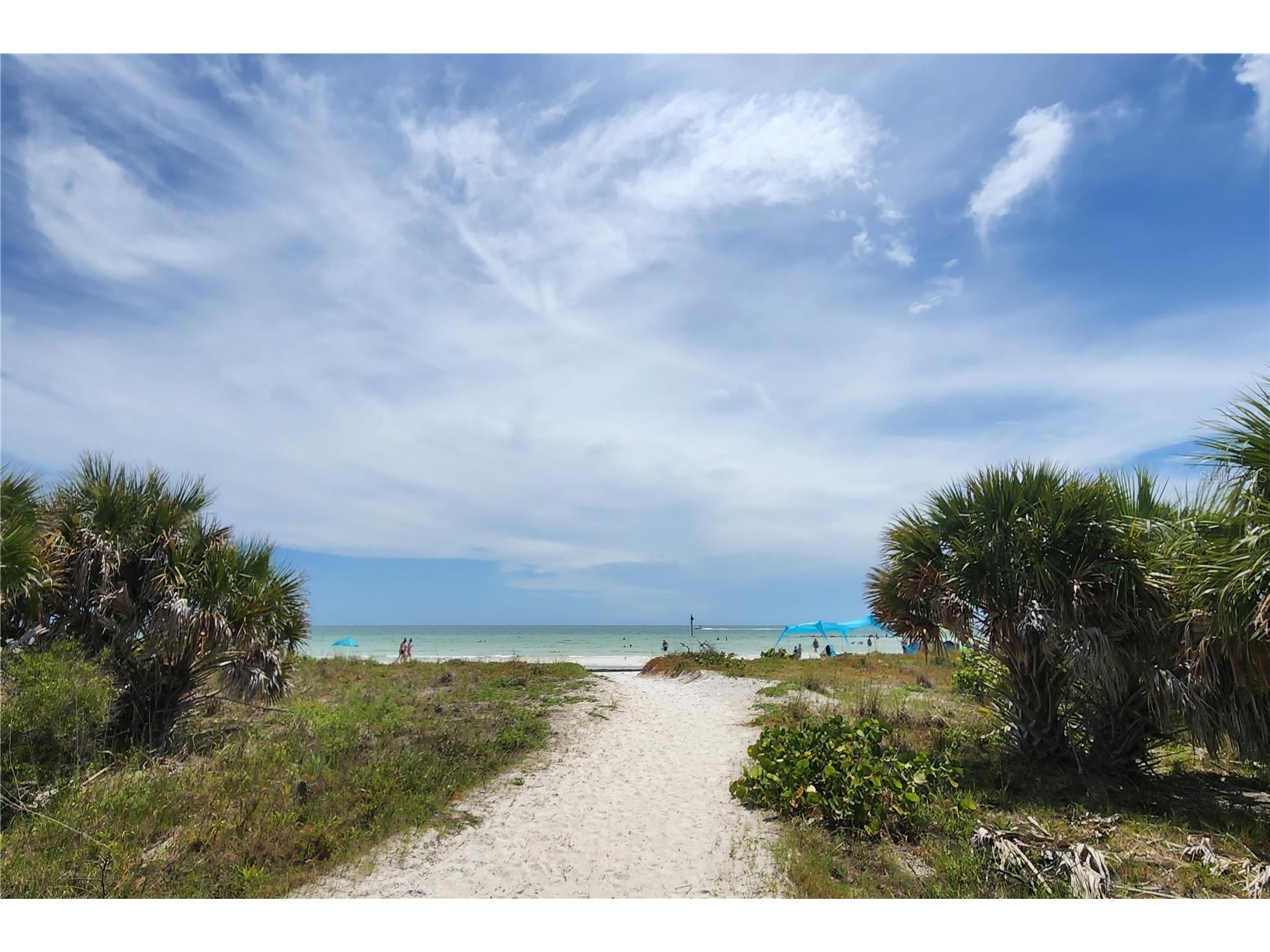 1438 Santa Anna Drive Dunedin FL 34698 TB8495579 image22